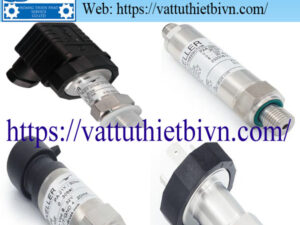 mau vatttuthietbivn-HPTS (6) Cảm biến áp suất Keller