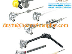 Đầu do nhiệt độ Reckmann