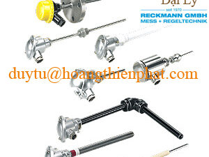 Đầu do nhiệt độ Reckmann
