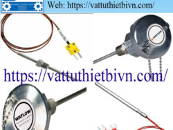 Cảm biến nhiệt độ Watlow