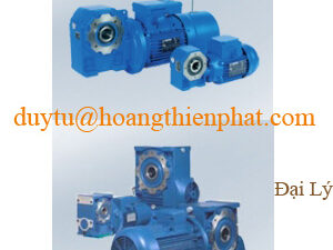 mau wed Phụ kiện Rossi