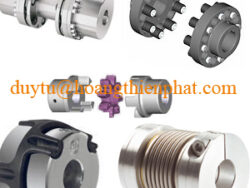 Khớp nối KTR Việt Nam