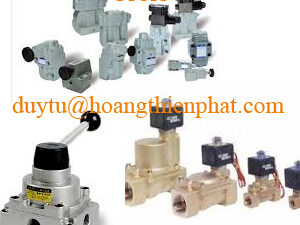 mau wed Đại lý Pavonesistemi Việt Nam