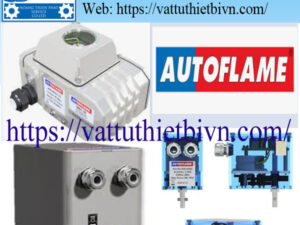 Động cơ servo Autoflame