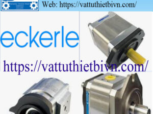mau vatttuthietbivn-HPTS (2) Bơm Bánh răng thủy lực Eckerle
