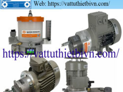 Bơm bánh răng Woerner