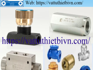mau vatttuthietbivn-HPTS (3) Van một chiều Tognella
