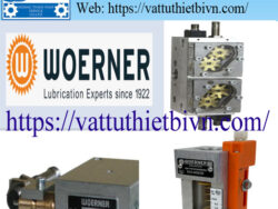 Đồng hồ đo lưu lượng Woerner