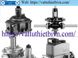 mau vatttuthietbivn-HPTS (4) Bộ điều chỉnh áp suất Dungs