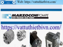Đại lý Bơm bánh răng Marzocchi