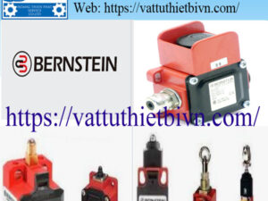 mau vatttuthietbivn-HPTS (1) Công tắc áp suất bernstein