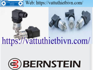 mau vatttuthietbivn-HPTS (6) Cảm biến áp suất khí nén bernstein