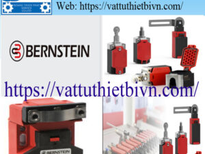 mau vatttuthietbivn-HPTS (8) Đại lý bernstein việt nam