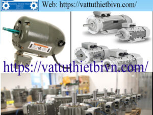 Động cơ điện Moll Motor