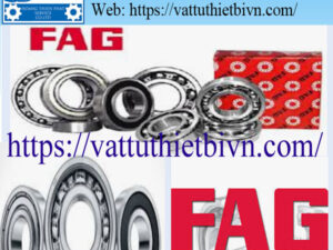 mau vatttuthietbivn-HPTS (1) Vòng bi FAG việt nam