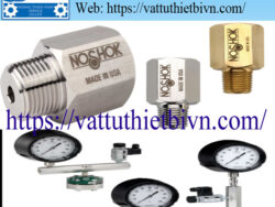 Phụ kiện áp suất Noshok