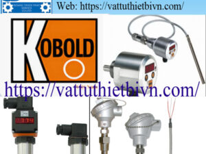 mau vatttuthietbivn-HPTS (2) Thiết bị đo nhiệt độ kobold
