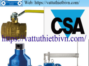 Đại lý CSA việt nam