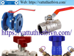 Van bi Cimberio việt nam