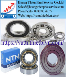 Bạc đạn NTN SNR