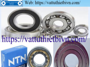 mau vatttuthietbivn-HPTS (2) Bạc đạn NTN SNR