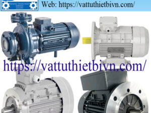 Động cơ điện Bronzoni