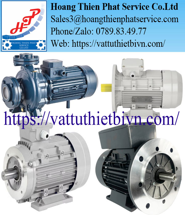 Động cơ điện Bronzoni