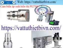 Cảm biến áp suất hiển thị PI2795