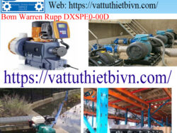 Bơm Warren Rupp DXSPE0-00D