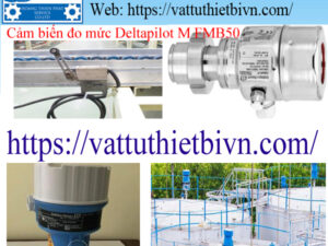 Cảm biến đo mức Deltapilot M FMB50 Cảm biến đo mức Deltapilot M FMB50
