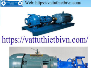 Bơm dẫn động từ FLOWSERVE U1-156-12101-UPO Bơm dẫn động từ FLOWSERVE U1-156-12101-UPO