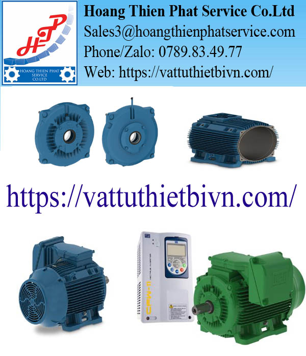 Động cơ điện 3 pha WEG W22