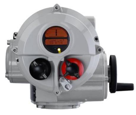 Rotork IQT250 F10 thích hợp với loại van nào?