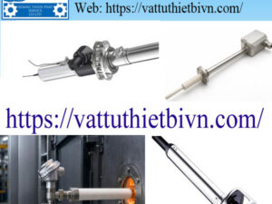 Cảm Biến Nhiệt Độ Reckmann