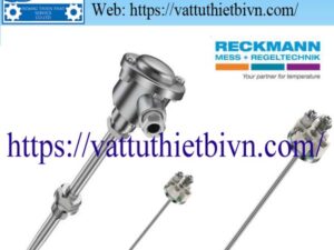 Cặp nhiệt điện Type S Reckmann 145862
