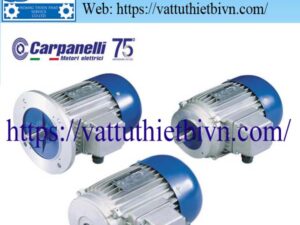 Động cơ điện Carpanelli Động cơ điện Carpanelli