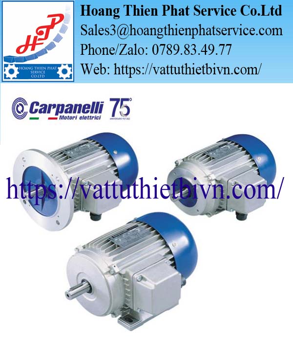 Động cơ điện Carpanelli Động cơ điện Carpanelli