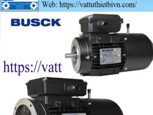 Động cơ phanh Busck – Brake Motor